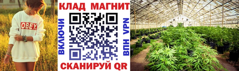 Купить Гусиноозёрск Cocaine  Альфа ПВП  OMG ССЫЛКА  Бошки Шишки 