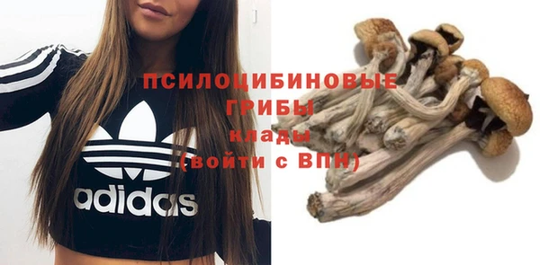 мет Дмитров