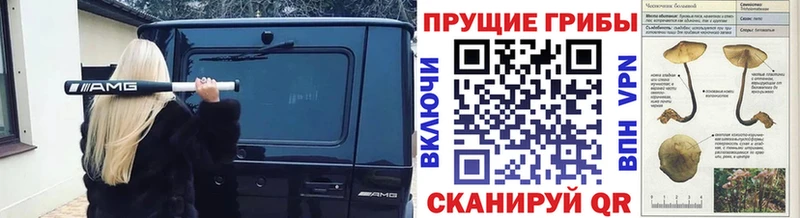 Галлюциногенные грибы GOLDEN TEACHER Гусиноозёрск